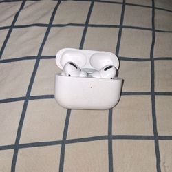 Airpod Pro's