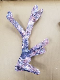 Premium Dry Branch Rock