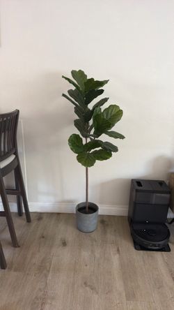 Faux Plant
