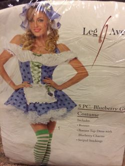 Blueberry girl costume new