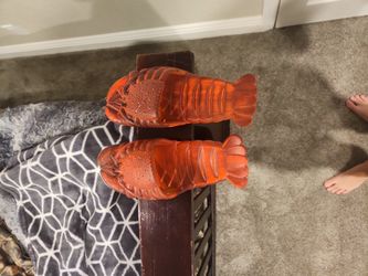 Lobster Slides