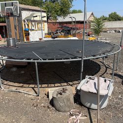 Trampoline Free