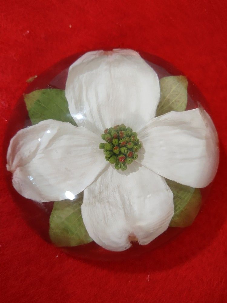 Vintage Lucite Paperweight White Flower Dogwood Blossom