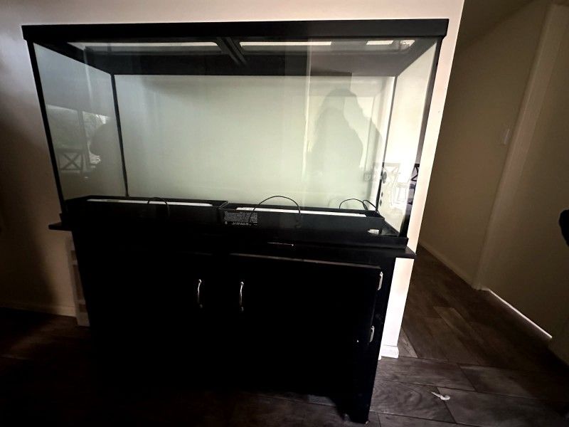 60 Gallon Fish Tank