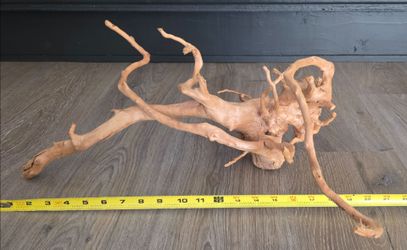 2 Brand New Spider Wood Driftwood Pieces – Aquarium / Aquascaping