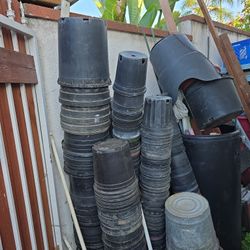 Pots