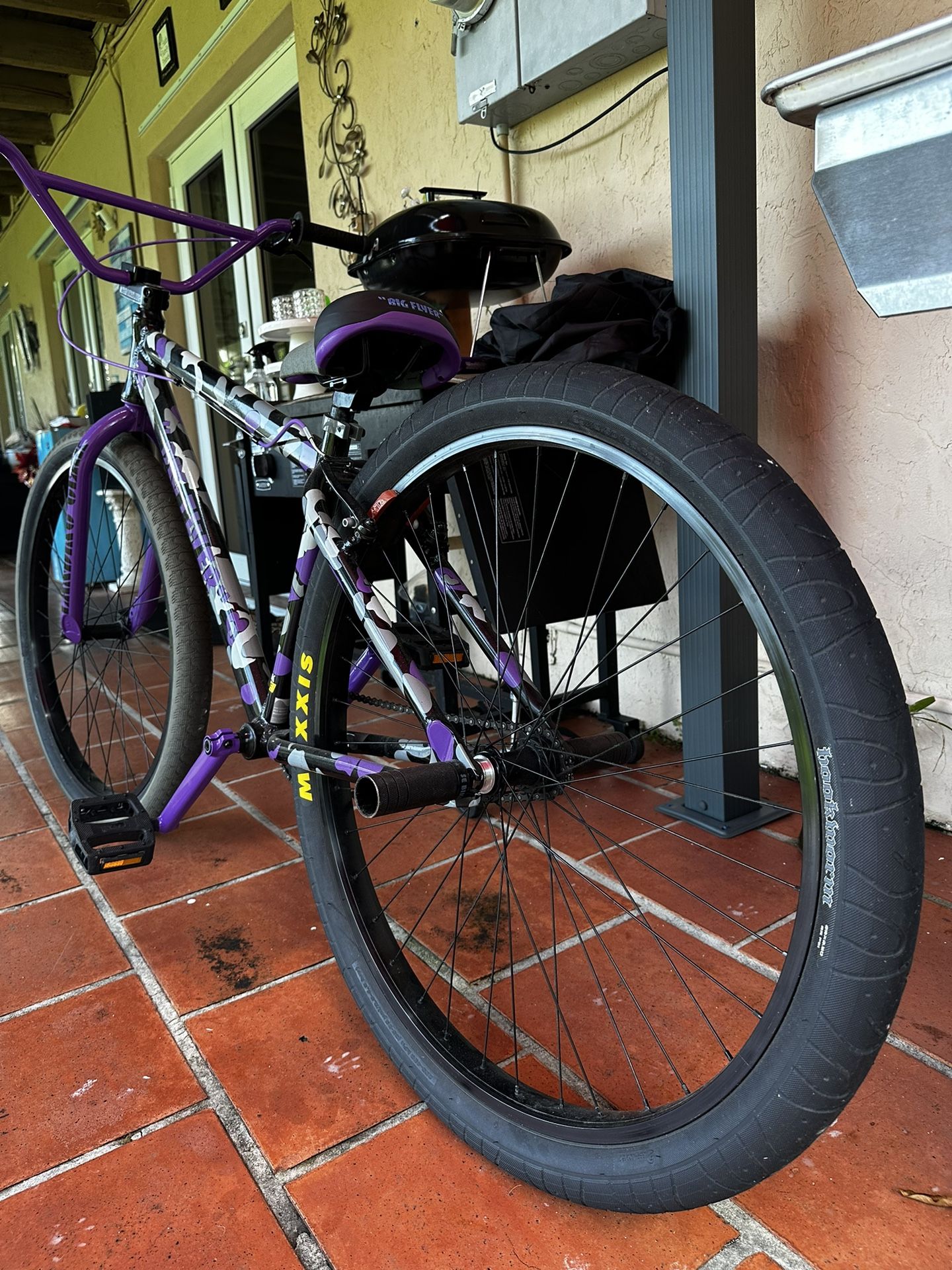 29 inch Big flyer SE Bike