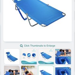 Ostrich Beach/Lounge Chair