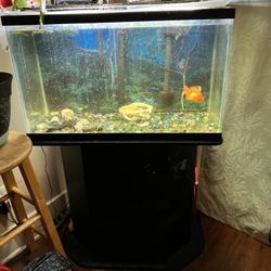Fish Tank With Stand N Storage Underneath 