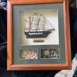 Nautical Sailboat and seashell display decor