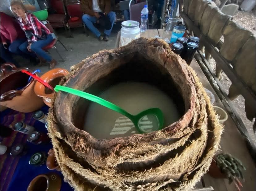 Pulquesito NATURAL DE MAGUEY AZUL