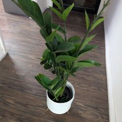 Artificial Plant Decoration