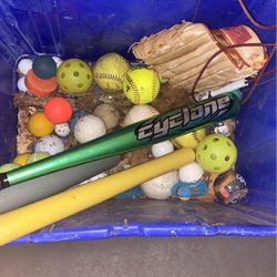 Tote of baseball and softball with gloves and bat