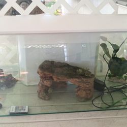 Fluval 32.5 Gallon Aquarium 