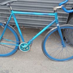 The Blue Phantom Fixie 