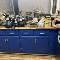 snake supplies 