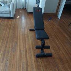 Exercise Bench