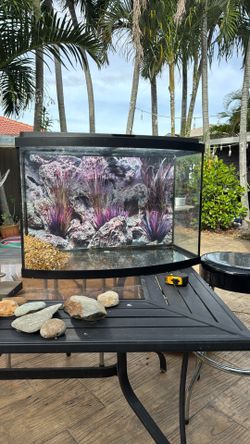 Curved fish tank 