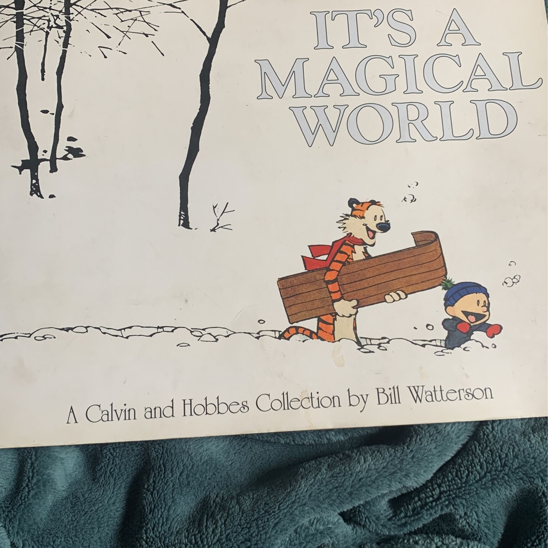 Calvin And Hobbes Its A Magical World