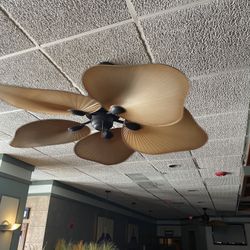 Ceiling Fans 