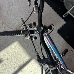 Girls Schwinn Bicycle 