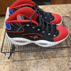 Reebok Allen Iverson First Ballot Edition