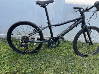 20 inch bicycle two different styles