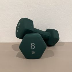 8lb Dumbbell Weights (set of 2)