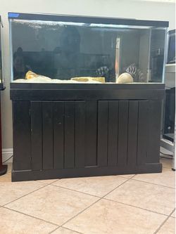 Various fish/aquariums