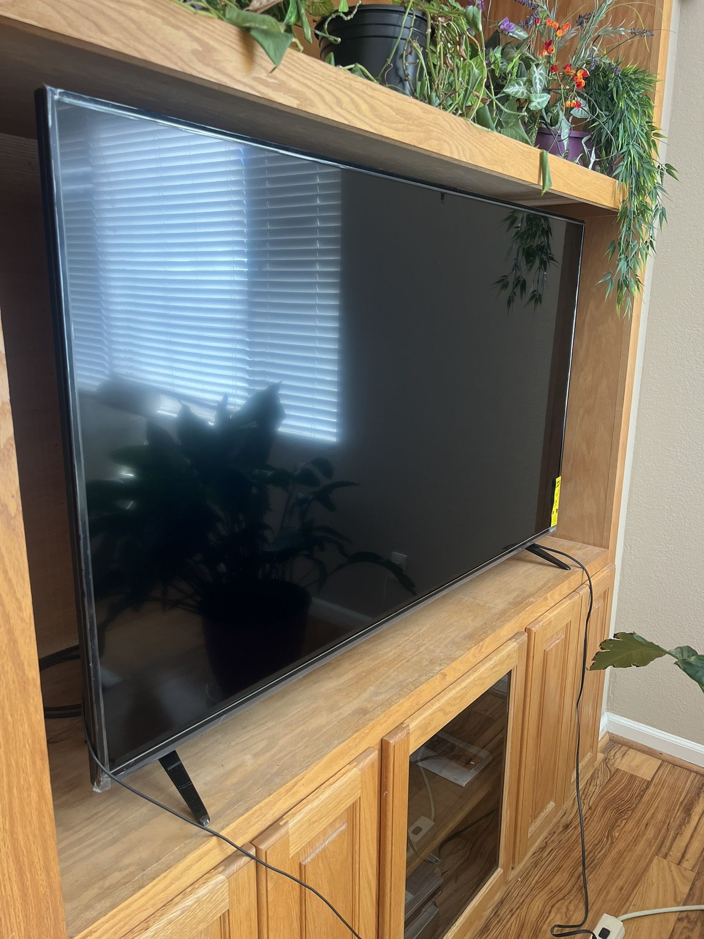 65 Inch Vizio TV