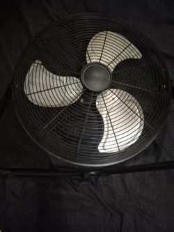 Fan