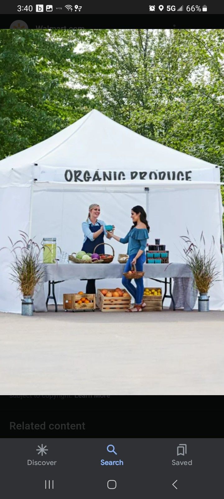 Ozark Trail 10x10 Commercial Canopy With Sidewalls