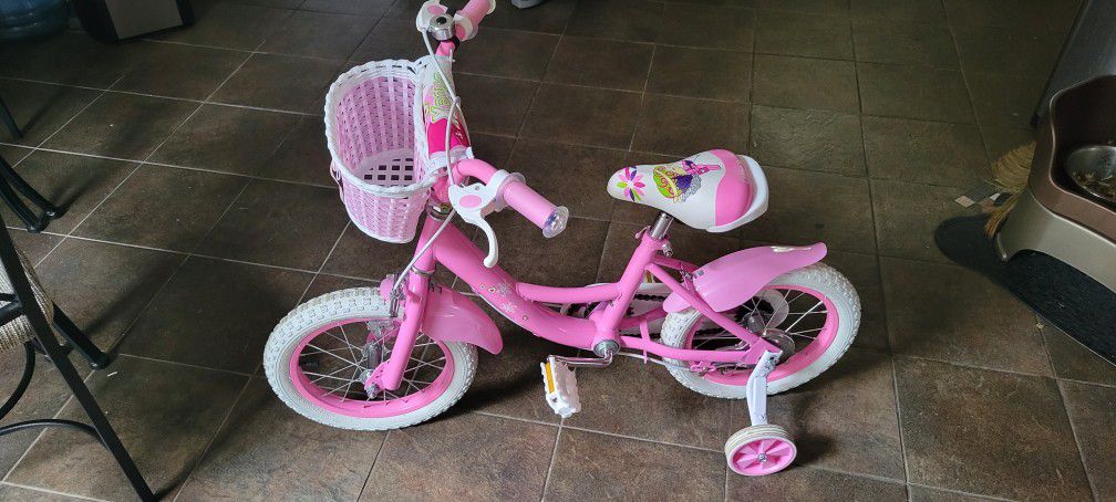 Dripex Pink Bike 