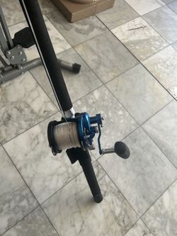 Fishing rod and reel