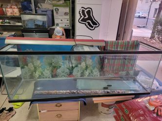 Very Large fishtank and Dual Saltwater/fresh light fixtures & 3 bulbs with glass top