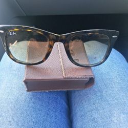Ray Band  Sunglasses