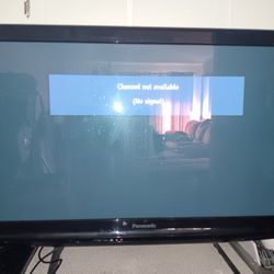 41" Panasonic Flat-screen TV