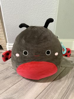Lady Bug Squishmallow 