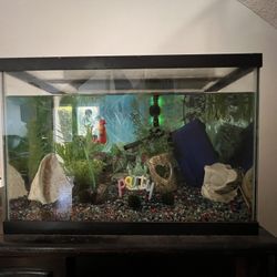 Aquarium - 20 Gallon Tank, Filter, Heater, Light, Rocks, Decor
