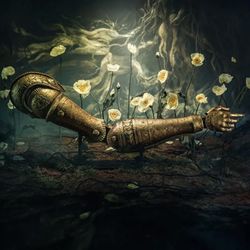 Arm Of Malenia Elden Ring