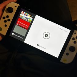 Nintendo Switch 
