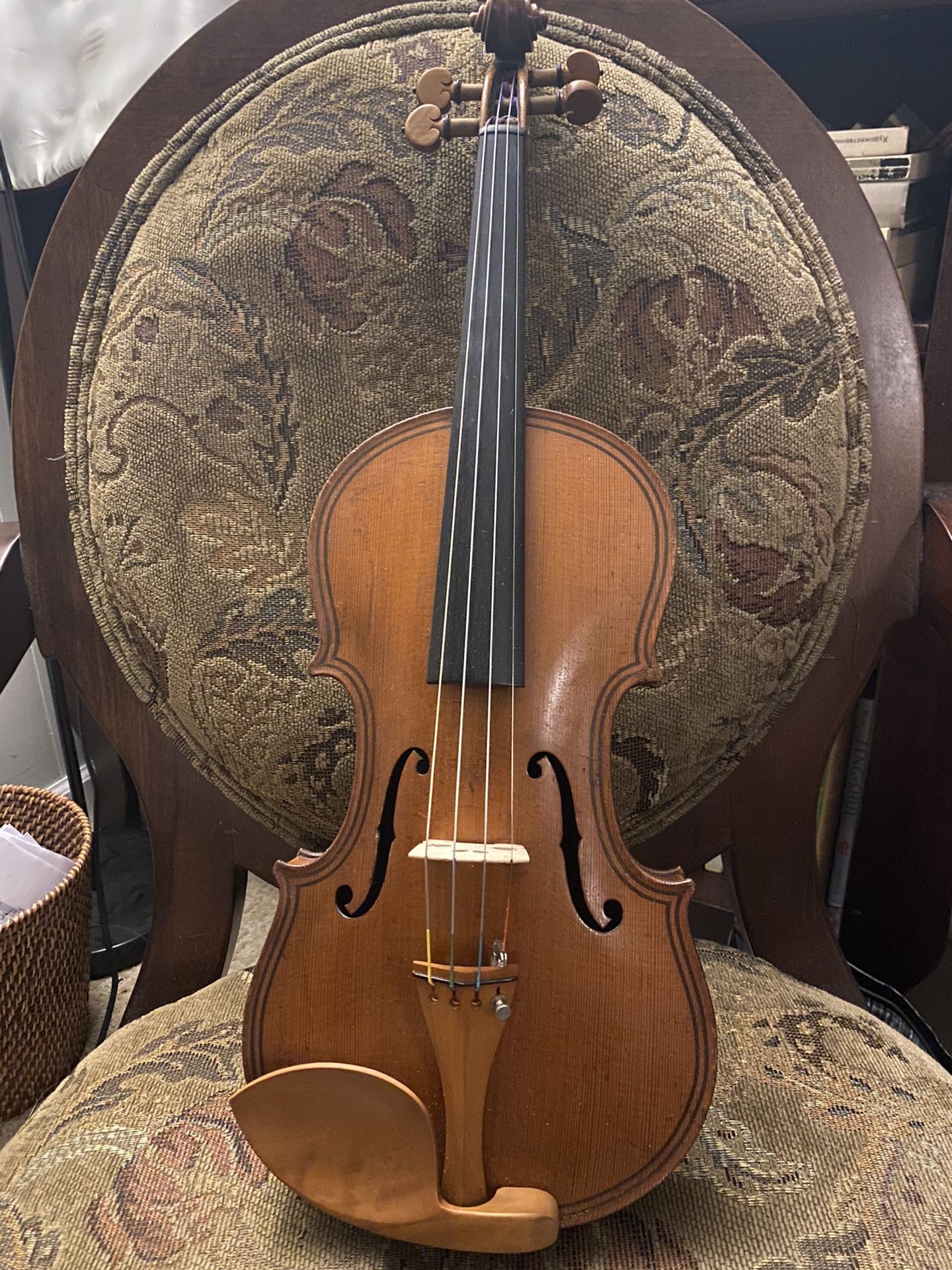 Full Size Violin 