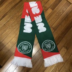 NWOT Official FIFA 2026 World Cup Fan Scarf WE ARE 26 Scotland Buchanan’s
