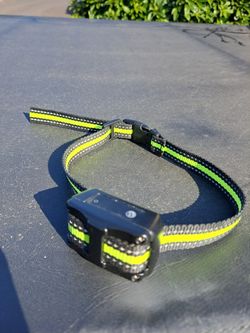 Dog shock collar