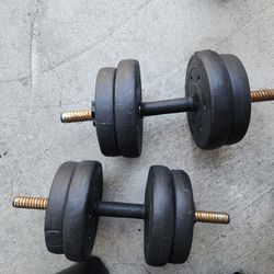 a pair of spin-lock adjustable dumbbells