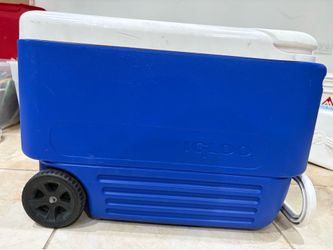 Igloo Cooler