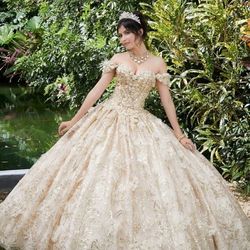 Floral and Sequin Patterned Quinceñera Dress