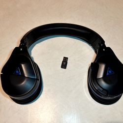 Turtle Beach Headset 