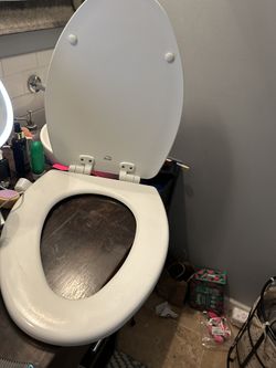 Toilet Seat
