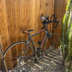 Nice Bike 
